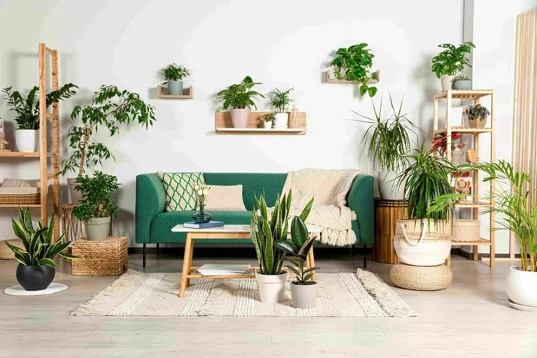5 mẹo thiết kế nội thất giúp bạn giải tỏa căng thẳng