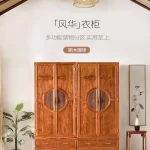 Tủ áo cặp mẫu Trung Quốc